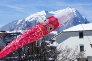Koinobori flying in Switzerland